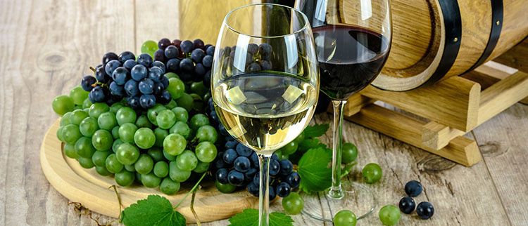 Explorando el Mundo del Vino: La Experiencia de Asistir a una Cata